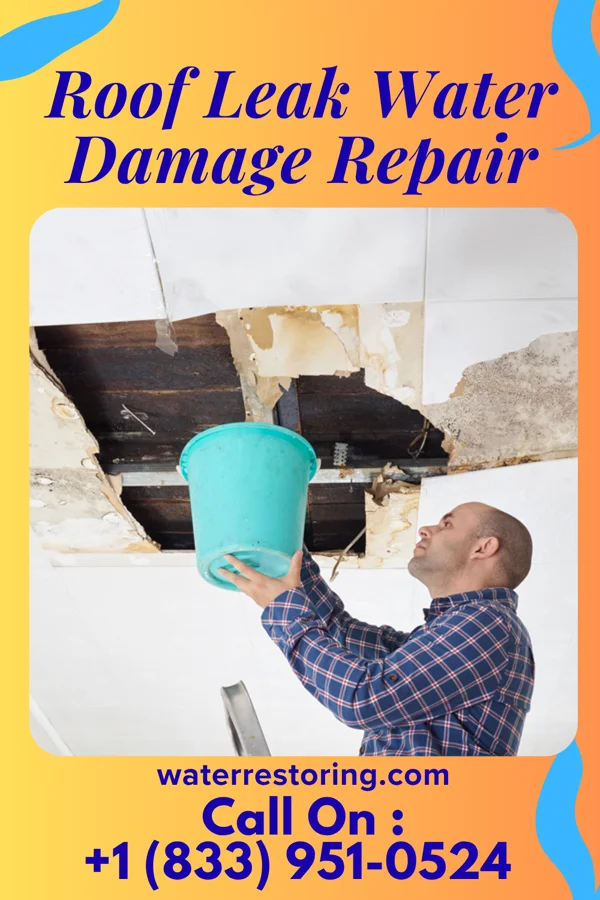 Roof Leak Water Damage Repair in St. Martin, MS