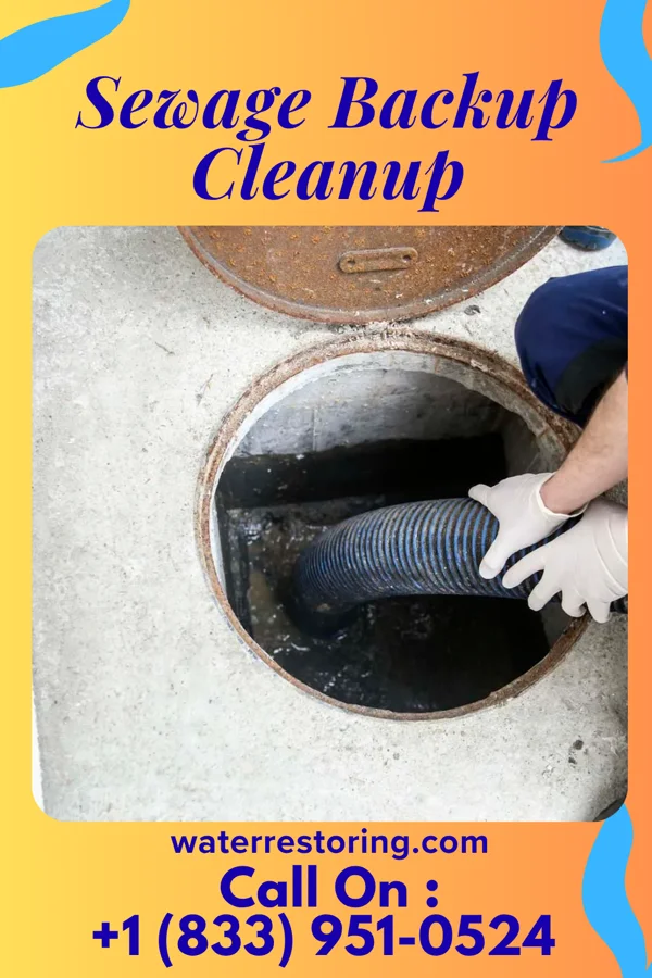 Sewage Backup Cleanup in St. Martin, MS