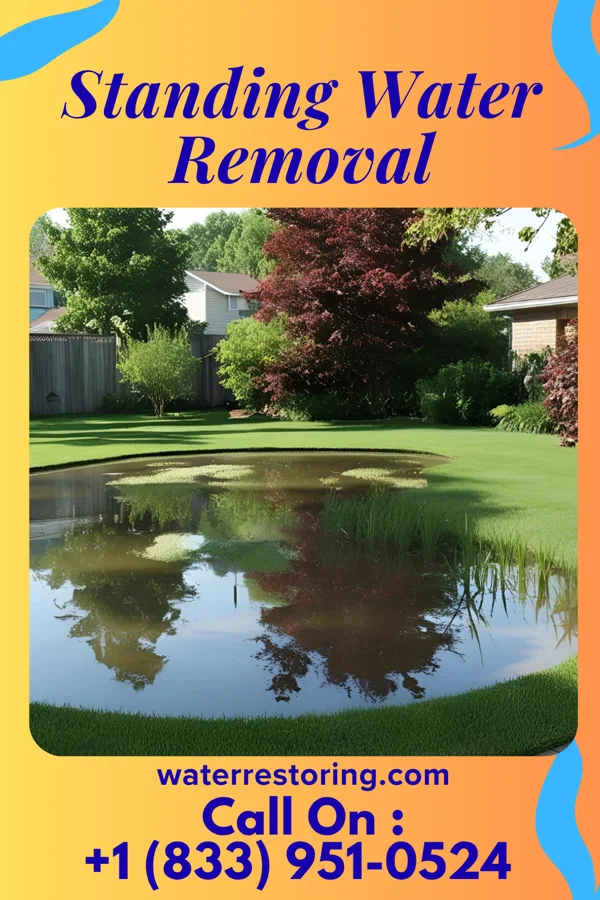 Standing Water Removal in St. Martin, MS